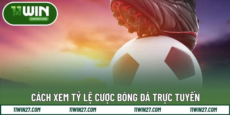 Cách xem tỷ lệ cược bóng đá trực tuyến