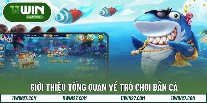 Giới thiệu tổng quan về trò chơi bắn cá