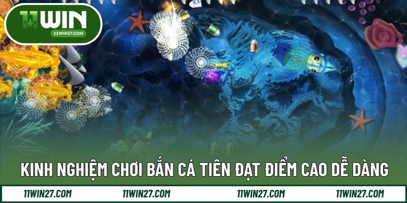 Kinh nghiệm bắn cá tiên giúp tăng hiệu suất ổn định