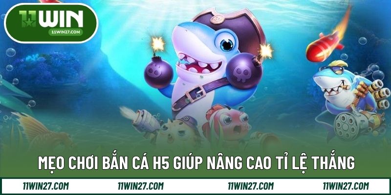Kinh nghiệm thực tế khi tham gia săn cá H5 hiệu quả