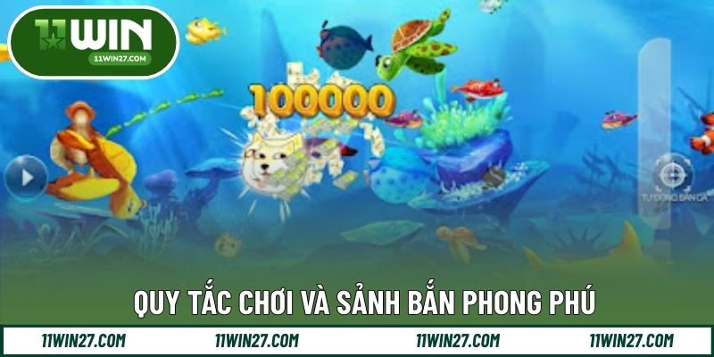 Quy tắc chơi và sảnh bắn phong phú