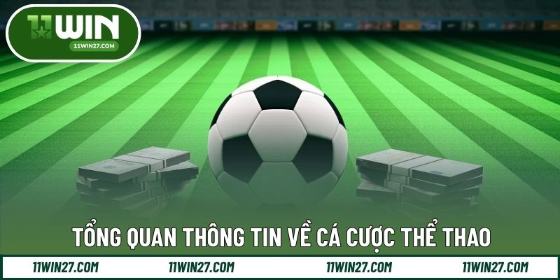 Tổng quan thông tin về cá cược thể thao